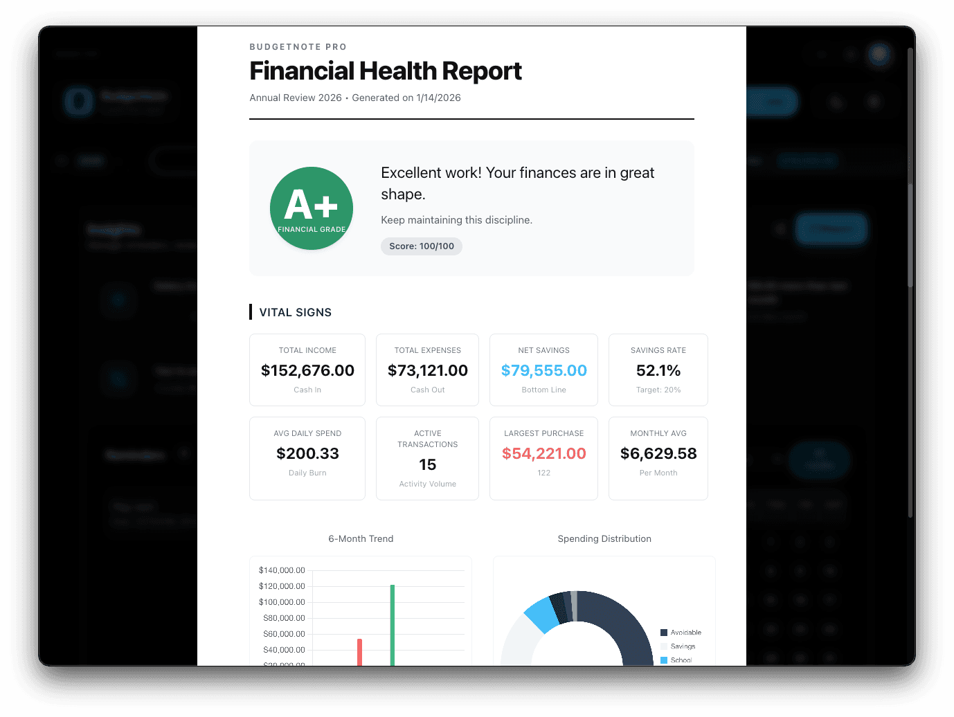 BudgetNote financial health report with printable annual review layout